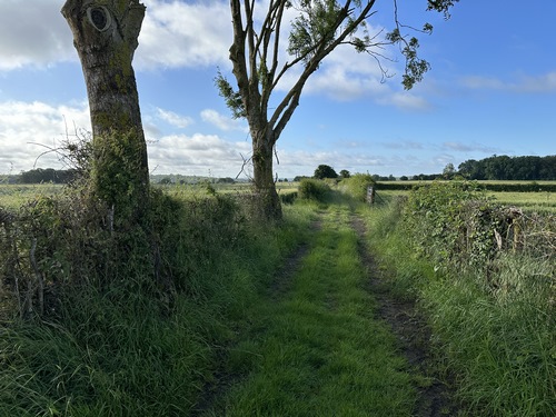 Le Chemin de l'Epine Rose traverse la plaine au sommet de la Côte de l'Epinay.