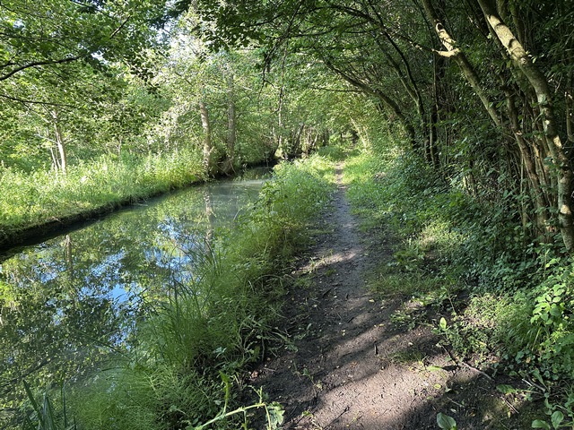 Notre chemin longe ce bras de la Guiel dans un tunnel de verdure.&nbsp;