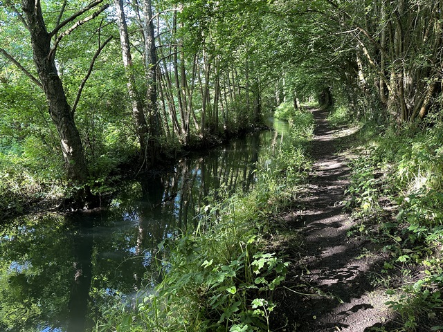 L'ambiance est vraiment à la sérénité, chacun se tait pour profiter du moment.