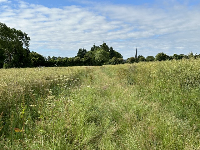 Nous traversons la plaine agricole au nord de Verneusses. C'est le seul chemin de plaine de ce circuit.&nbsp;