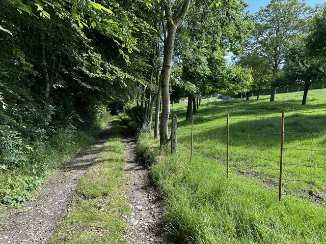 Et voilà déjà notre dernier chemin avant de retrouver Montreuil.