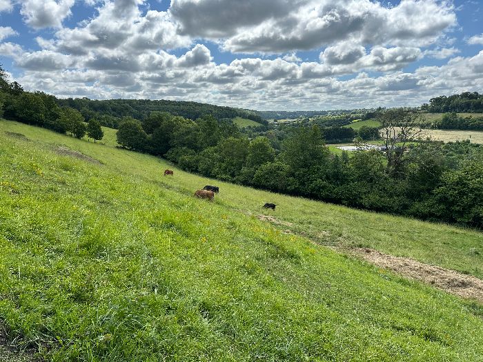 Le circuit monte sur le coteau nord. La montée est raide, mais un raccourci permet d'éviter cette montée et de marcher à flanc de coteau.