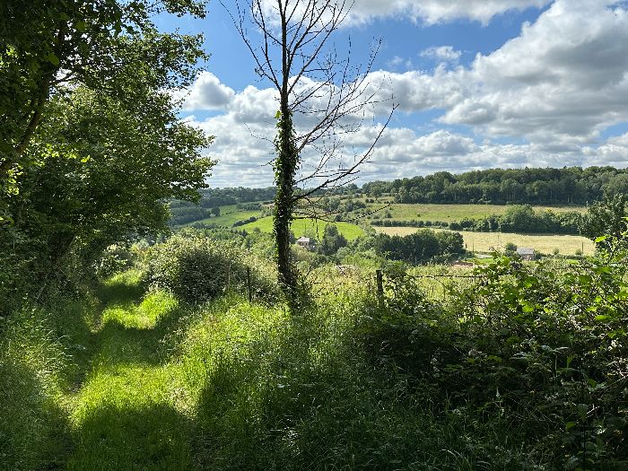 Après un bref passage près du hameau de la Hauberdière, le circuit redescend dans la vallée par le Sentier Bert.