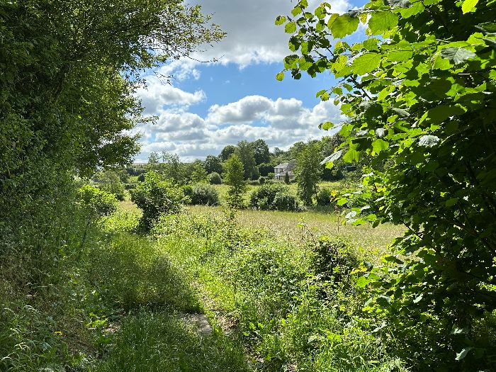Le Sentier Bert arrive dans la vallée.