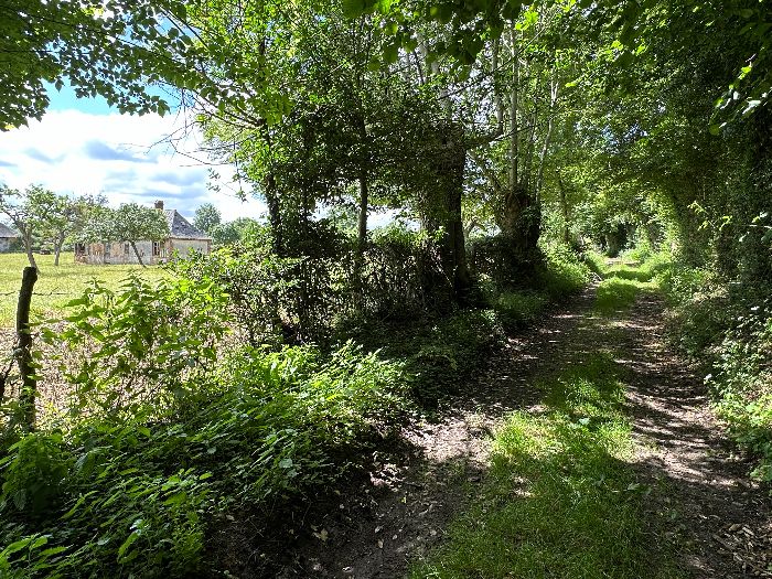 Après avoir traversé la route des Bellières, le circuit monte sur le coteau sud, toujours sur le Sentier Bert. Nous longeons ici le parc animalier de la Dame Blanche. L'entrée se trouve route de la Chapelle.