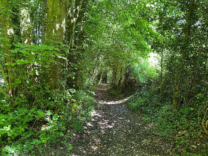 Après avoir suivi la route de la Chapelle sur 500 mètres, nous redescendons dans la vallée par le Sentier Paisible.