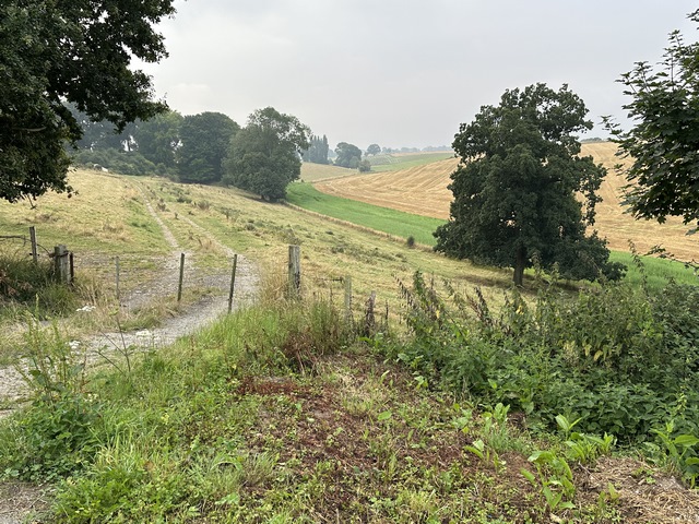La ligne verte au fond de ce vallon est le Talweg du Fond du Moulin. Modelé par l'érosion des glaciers au Quaternaire, il collecte les eaux de ruissellement et les dirige vers le Dun.