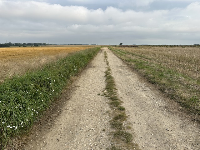 Nous suivons maintenant les chemins de la plaine de Crasville en direction de Fontaine-le-Dun.
