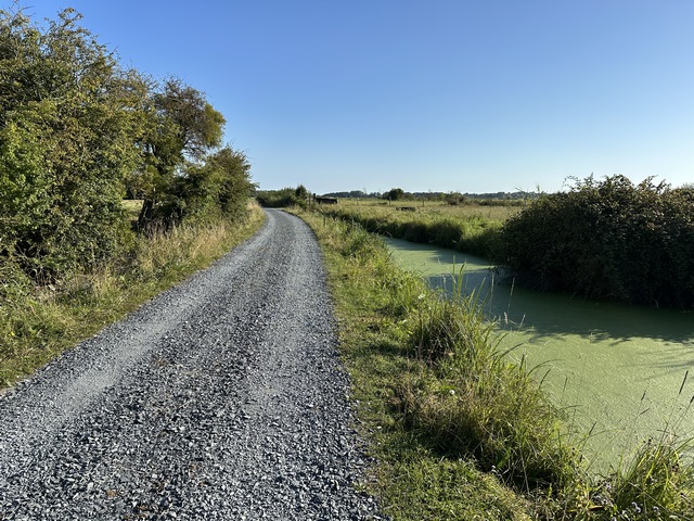 Nous continuons dans les marais, ici nous ne sommes pas loin de Merville-Franceville-Plage.