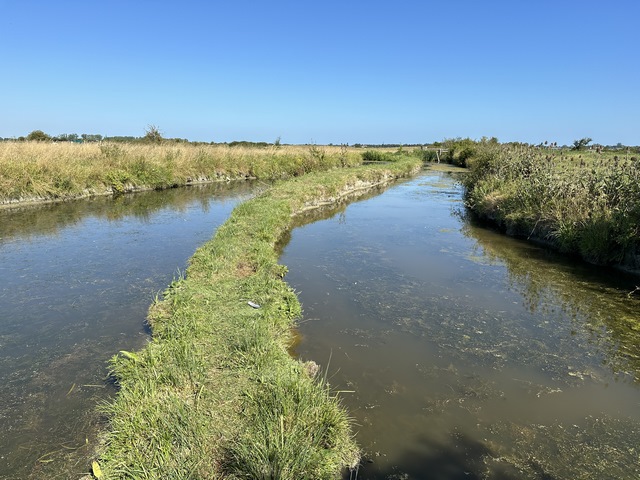 Près du hameau des Boursiers, notre chemin devient un étroit sentier entre les canaux. Il n'y a pas de danger, le sol est bien ferme, mais le spectacle est impressionnant.