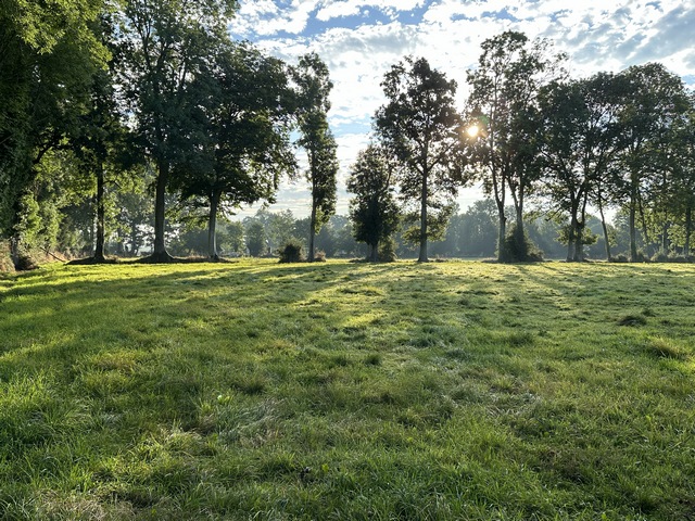 Le soleil se lève derrière les arbres qui bordent les près.