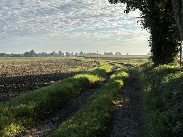 Nous traversons la plaine en direction du hameau du Bucard.