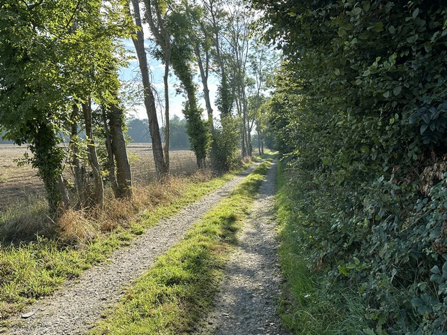 Nous continuons sur les chemins au sud de St-Victor-d'Epine.