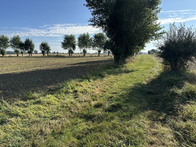 Il n'est plus possible de traverser la plaine de Boucheville sur le chemin du circuit officiel. Il est envahi de ronces. Le circuit porte bien son nom. Nous continuons donc sur ce chemin, sans regret comme on peut l'imaginer en voyant cette photo.