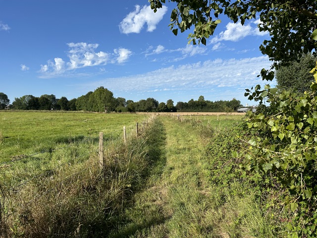 Nous avons traversé la D26, et marchons maintenant vers l'est.