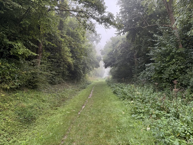 Notre premier chemin suit l'ancienne voie ferrée de Charleval à Serqueux. Comme on le voit, c'est une ancienne voie ferrée qui n'a pas été asphaltée, c'est devenu rare, profitons-en.