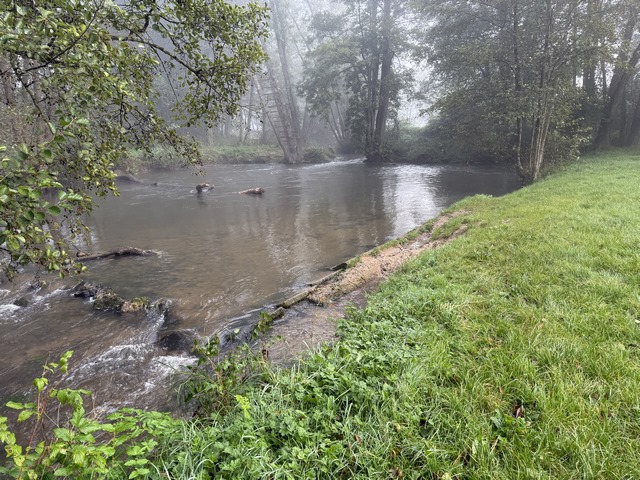 Le chemin longe l'Andelle de près. Les bancs et tables installés dans ces magnifiques paysages auraient sérieusement besoin d'être renouvelés.