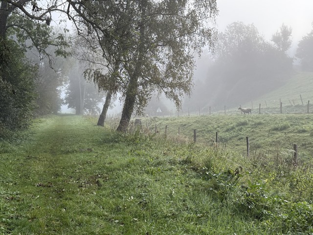 Paysages de l'ancienne voie ferrée.