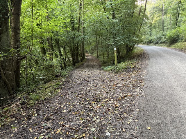 Nous quittons la D413 sur ce chemin dans les bois du coteau est de l'Andelle.