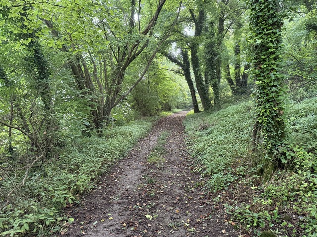 Nous sommes sur le Chemin des Randonneurs, un très agréable chemin qui avance dans un couloir boisé.