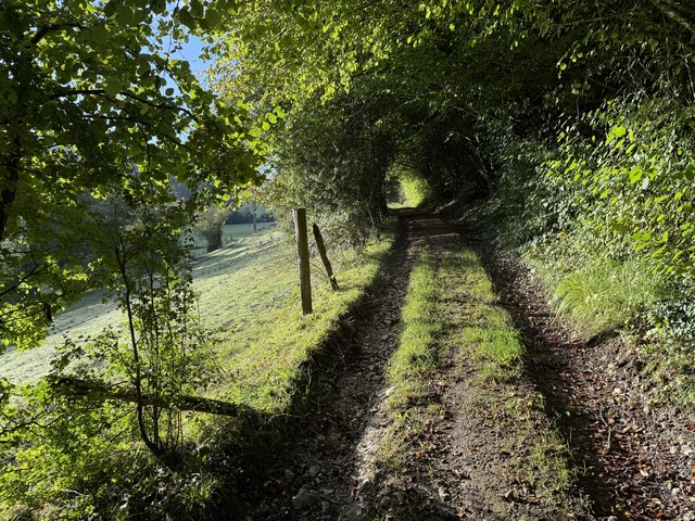 Le Chemin de la Cavée est le chemin qui relie Morville-sur-Andelle à la Haye. C'est un chemin antique, aménagé pour des véhicules à traction animale, la pente est régulière et n'est pas méchante.