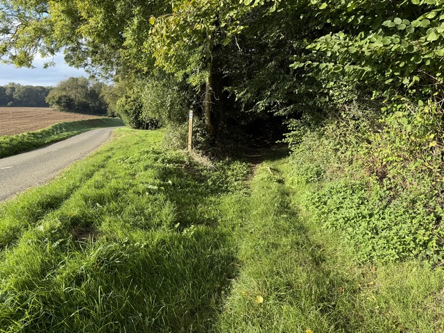 Un peu plus loin, nous quittons la route d'Elbeuf pour suivre ce chemin qui la longe.
