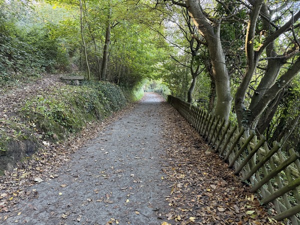 Chemin des Champs Elysées au-dessus du bourg de Veules.