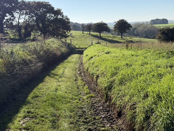 Je quitte Veules-les-Roses et pars vers l'est sur les chemins du plateau.