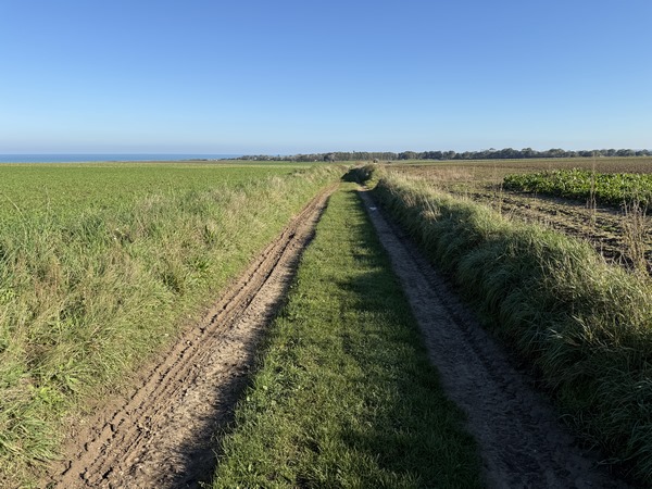 Je traverse la plaine agricole entre Veules et Sotteville.