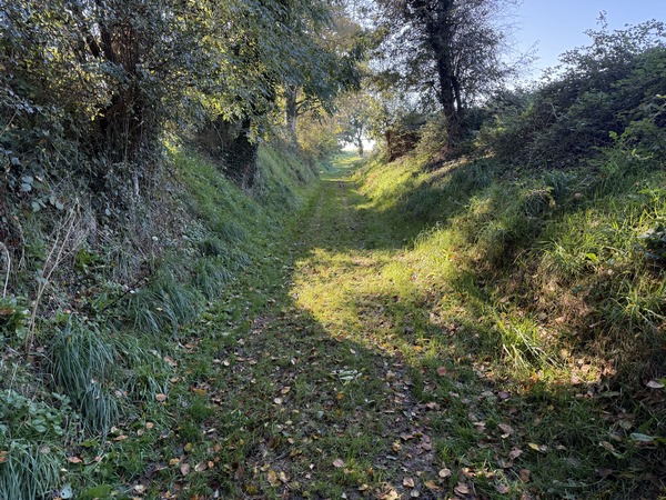 Je contourne Sotteville par le sud.