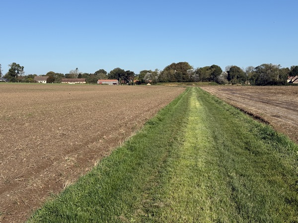 Le dernier chemin entre tout droit dans Sotteville-sur-Mer.