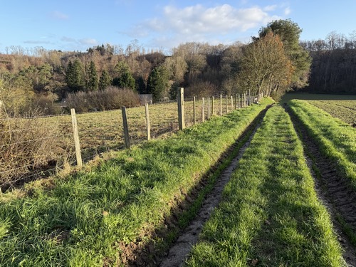 Nous descendons dans un vallon qui s'appelle simplement le Fond.