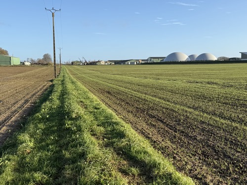 Nous traversons la plaine agricole entre le château et le bourg de Limpiville. Il faut voir cette plaine quand le lin est en fleur au mois de juin.