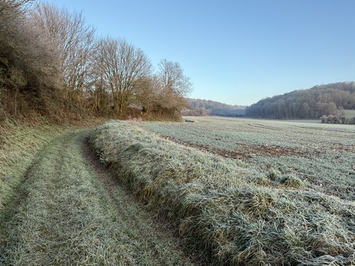 Nous montons vers le bois de l'Echertuette. La pente est douce et le chemin agréable.