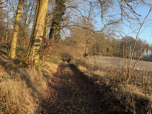 Bois de l'Echertuette.