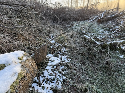 Un peu plus loin, le chemin est encombré d'arbres. Ce n'est pas la conséquence d'une tempête, ce sont des arbres coupés comme on le voit au premier plan... On se débrouille pour passer, sans trop de mal, mais c'est impossible de passer en VTT, et c'est dangereux pour des enfants.