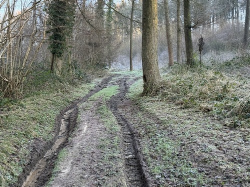 La deuxième partie du chemin est boisée. On voit à droite un calvaire (photo dans l'album), ce chemin est l'ancienne voie vers Grattenoix, désormais remplacée par la D102. Visiblement, les chemins du Mont de Beaussault sont fréquentés par des 4x4.