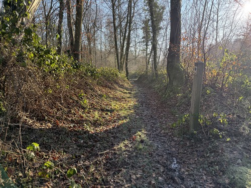 Rapidement, nous entrons dans la forêt du Mont de Beaussault. On voit, à droite, l'un des nombreux poteaux-balises de ce circuit.