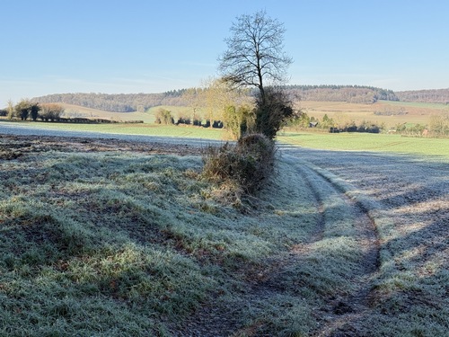 Nous contournons ce qui fut le prieuré de Toupray, pour continuer vers l'ouest sur cet agréable chemin en balcon au-dessus de la vallée.&nbsp;