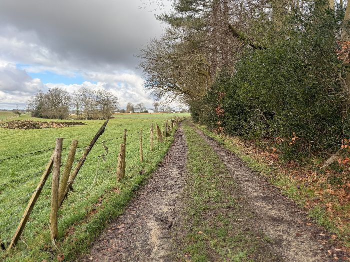 Peu après le départ, nous sommes sur le premier chemin et nous longeons le bois du château de Filières.