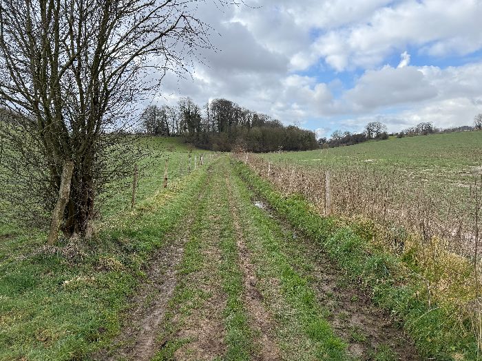 Juste après le pont, nous retrouvons un chemin. Celui-ci longe le territoire de la commune des Trois-Pierres.