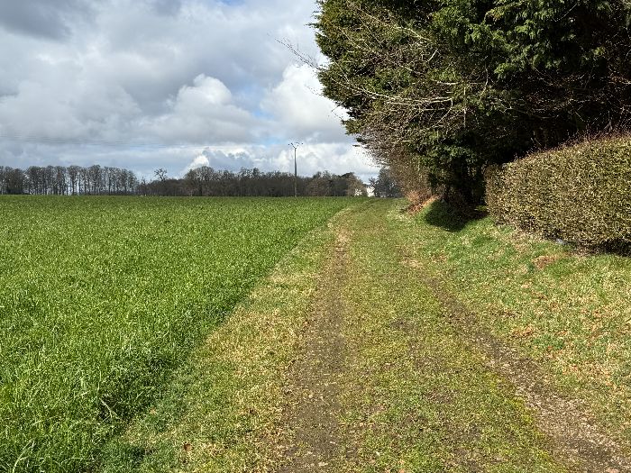 En entrant dans Gommerville, nous tournons sur ce chemin qui se dirige vers le château.