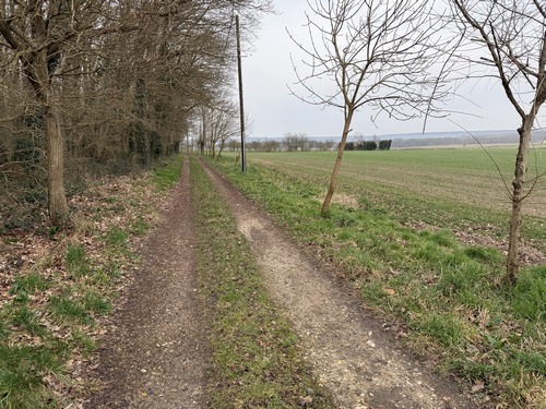 Nous partons de la rue Bouchée, et peu après le départ, après avoir traversé la D64, nous sommes déjà sur notre premier chemin.