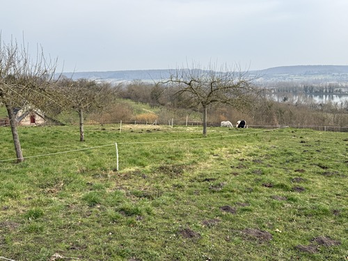 Panorama sur la vallée de la Seine depuis la rue des Monts.