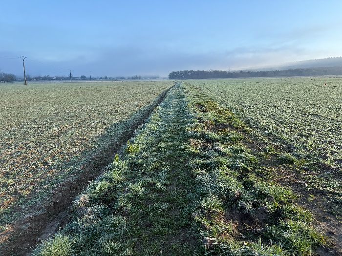 Je pars du parking de la mairie d'Yville, et après la traversée de la D45 je suis déjà sur le premier chemin de ce circuit.