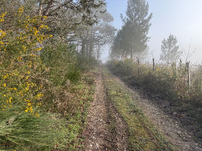 Après la ferme du Tilleul, je suis sur terrain inconnu. J'espère ne pas être bloqué par un panneau de propriété ou une extension de carrière non encore référencée...