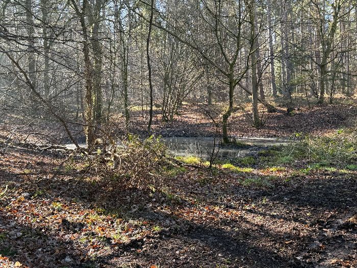 Le chemin longe aussi deux mares. Ici, c'est la mare des Souilles. Ce chemin est rectiligne, bordé de bois privés qui ne permettent pas d'échappatoire, mais mérite de faire partie d'un circuit de randonnée.