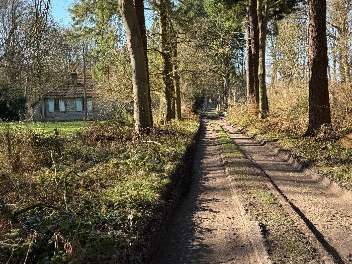 Arrivé au niveau de l'ancienne maison forestière des Douglas, je vais continuer en face sur la route de la Plaine des Mares.
