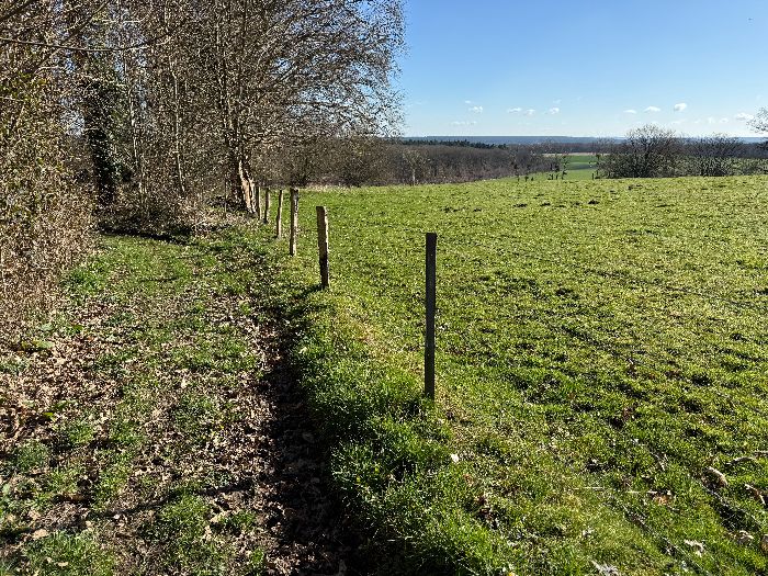 Le chemin descend dans le bois de la Vente du Câtelier en direction de la Ferme de la Prise du Gaucher.