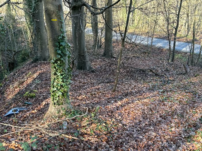 Au-dessus d'Yville, le balisage jaune me fait couper à travers bois les circonvolutions de la route de la Bouille.